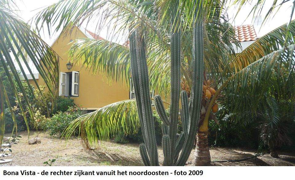 19. Bona Vista rechter zijkant op het noordoosten 2009